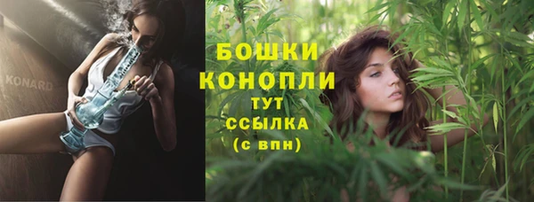 Альфа ПВП Лагань