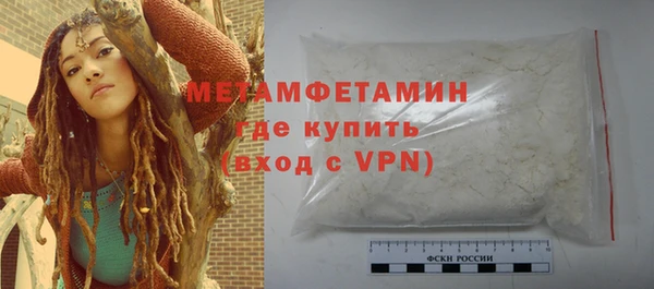 крисы Кулебаки