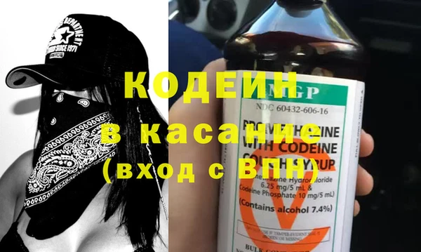 крисы Кулебаки