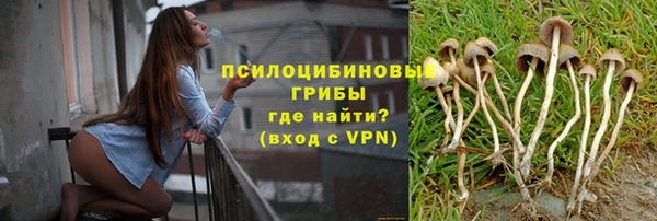твердый Краснотурьинск